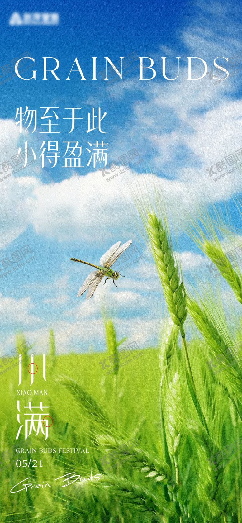 编号：93651405172314446169【酷图网】源文件下载-小满节气海报