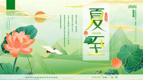 夏至时节荷花水乡美景