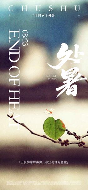 处暑节气海报二十四夏日蜻蜓