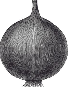 素描蔬菜