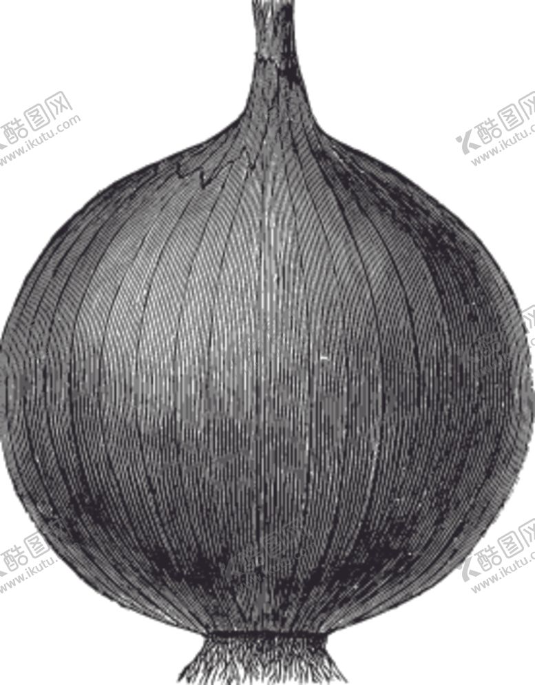 编号：91376707140145046609【酷图网】源文件下载-素描手绘蔬菜