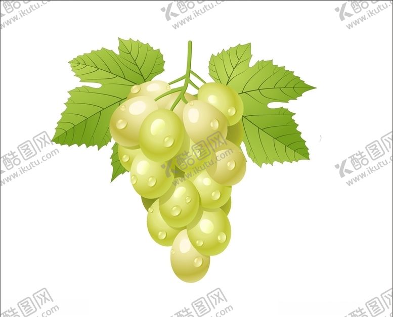编号：98235409112157549883【酷图网】源文件下载-葡萄