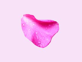 花瓣