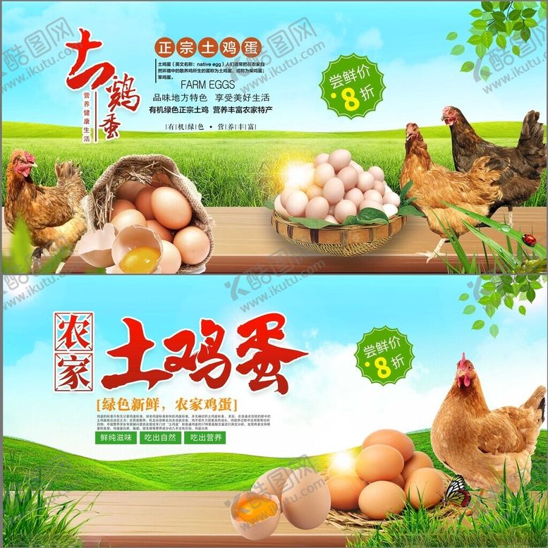 编号：76852011210301228032【酷图网】源文件下载-农家土鸡蛋宣传海报