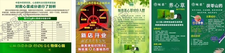 编号：63413704051413312492【酷图网】源文件下载-救心菜植物降血压清血管