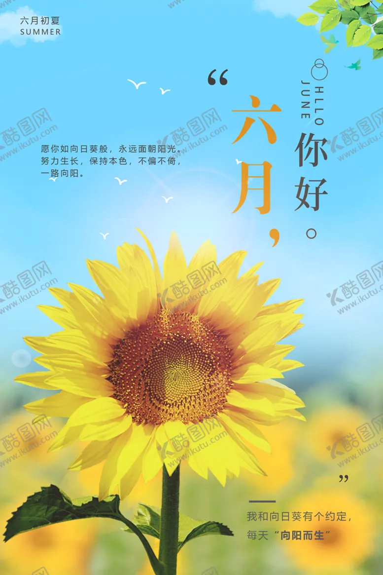 编号：51073410040138380724【酷图网】源文件下载-六月你好