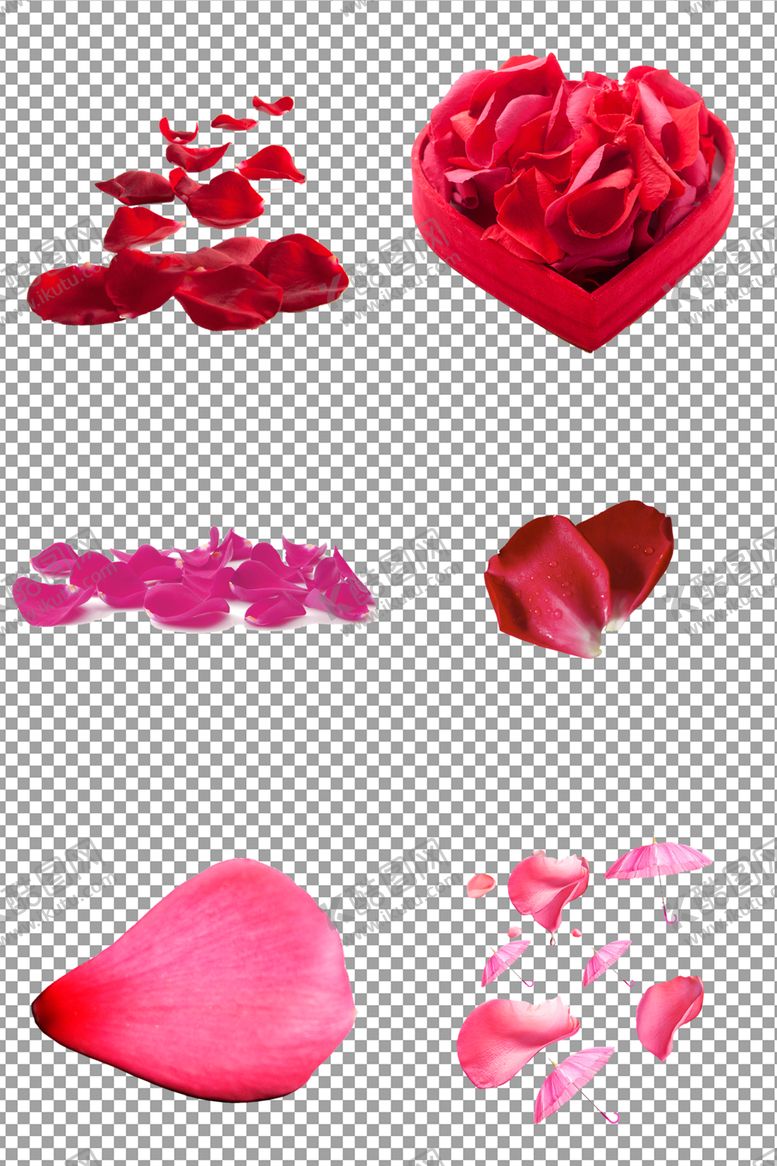 编号：40120509220025231582【酷图网】源文件下载-漂浮的花朵