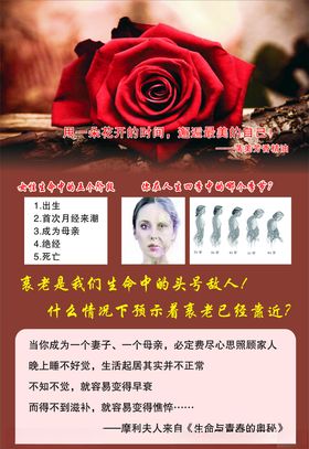 美容养颜护肤精油