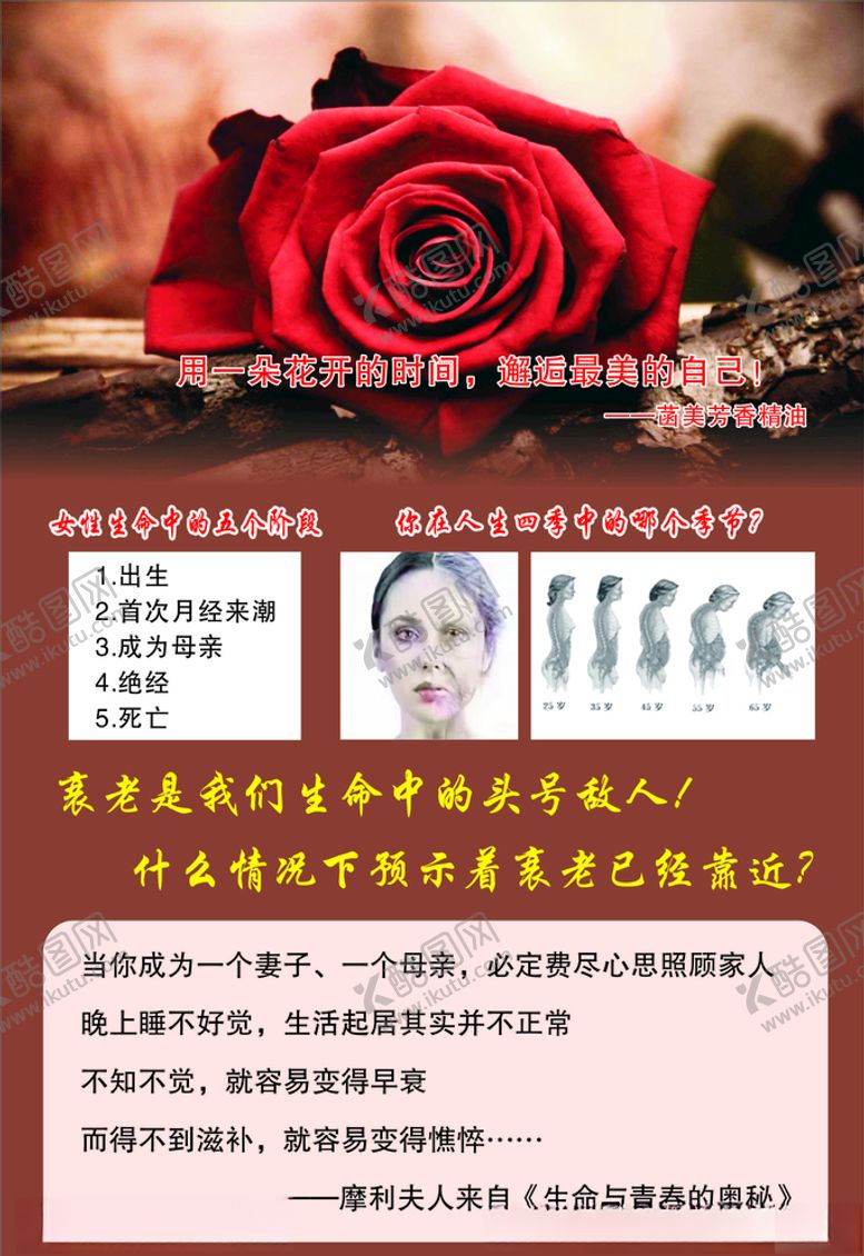 编号：93538105181109035518【酷图网】源文件下载-美容养颜护肤精油