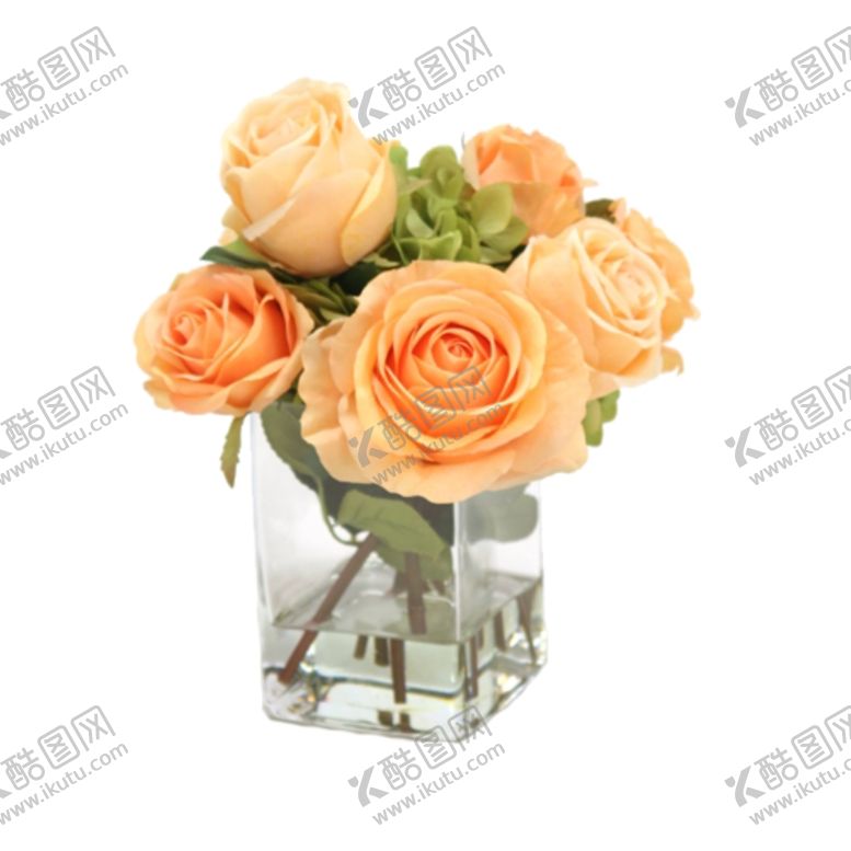 编号：23961409220731375654【酷图网】源文件下载-免抠背景花草树木