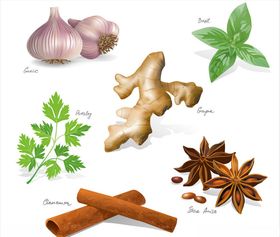 矢量蔬菜
