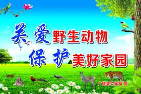 植树节保护