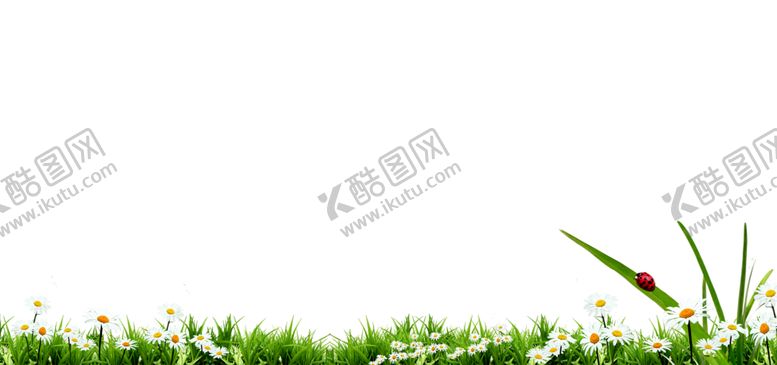 编号：94315210102124249807【酷图网】源文件下载-绿色背景