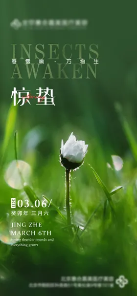 节气海报二十四惊蛰简约