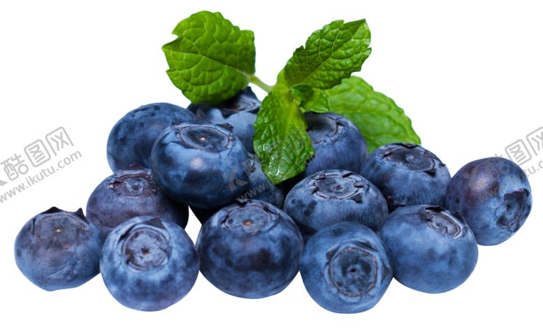 编号：10815409120104205395【酷图网】源文件下载-蓝莓png素材