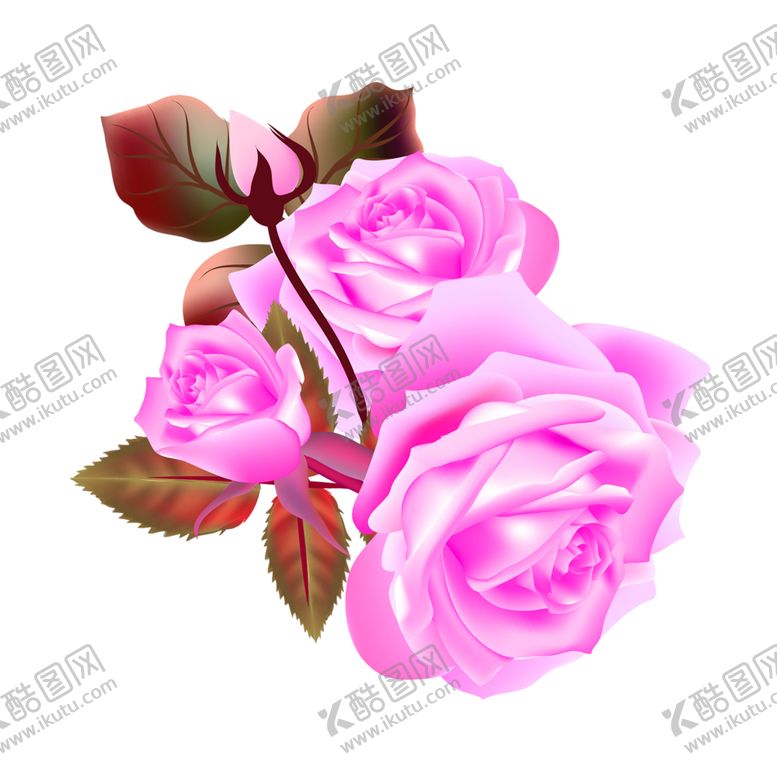 编号：56639207130532158125【酷图网】源文件下载-鲜花素材