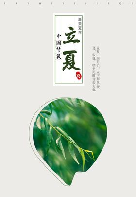 立夏 节气海报 中国传统节日