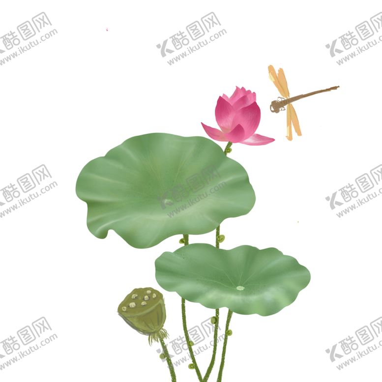 编号：51896806241913387218【酷图网】源文件下载-荷花元素