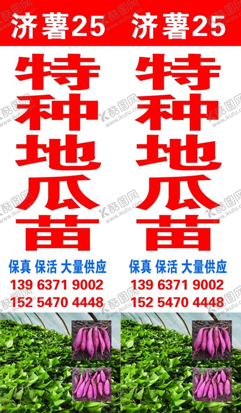 编号：94443204220421216871【酷图网】源文件下载-地瓜苗