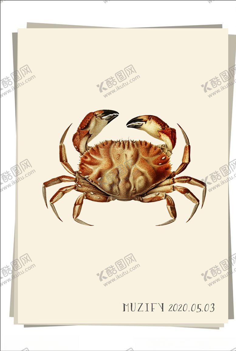 编号：63022010110314454157【酷图网】源文件下载-海蟹海洋生物图鉴