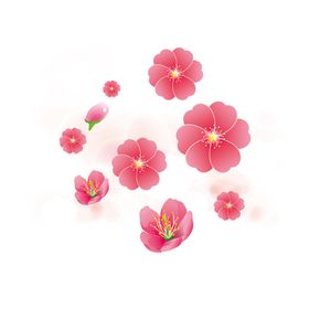 樱花素材节活动树粉色