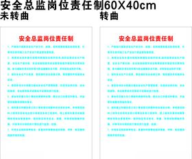 安全总监岗位责任制