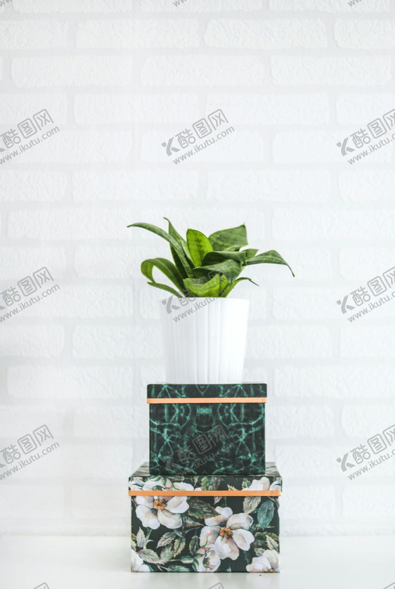 编号：79351006272023538471【酷图网】源文件下载-礼物盒盆栽白色背景墙