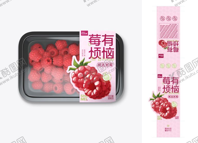 编号：13173104101801504937【酷图网】源文件下载-水果包装设计
