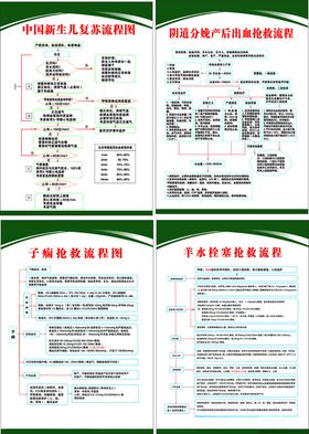 新生儿复苏羊水栓塞等流程图