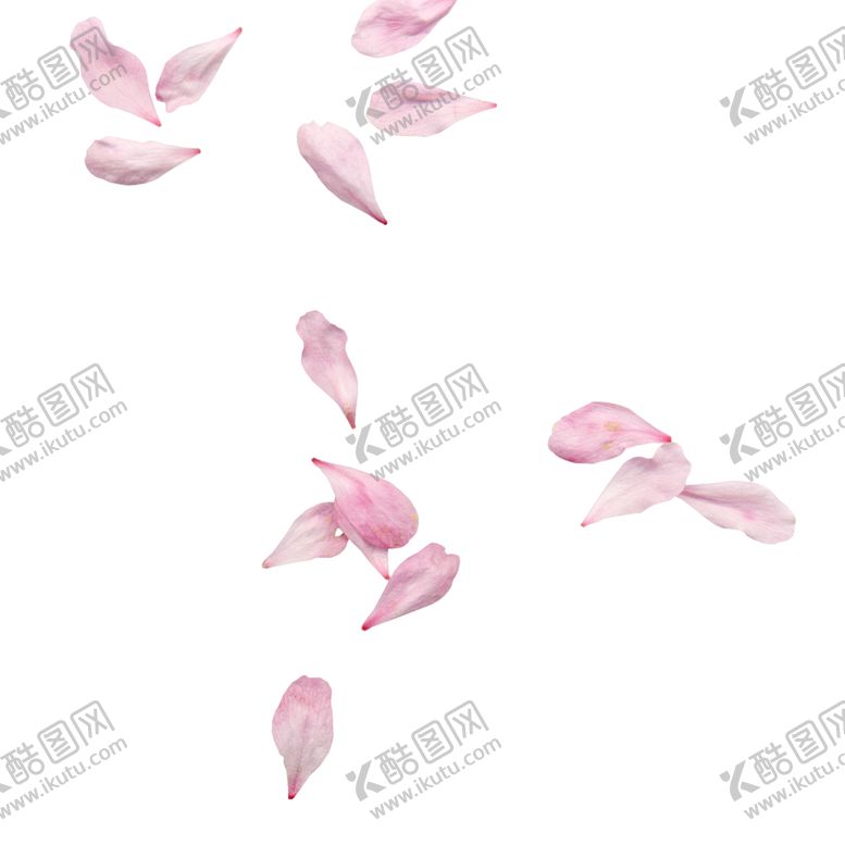 编号：23270103222108239324【酷图网】源文件下载-樱花素材