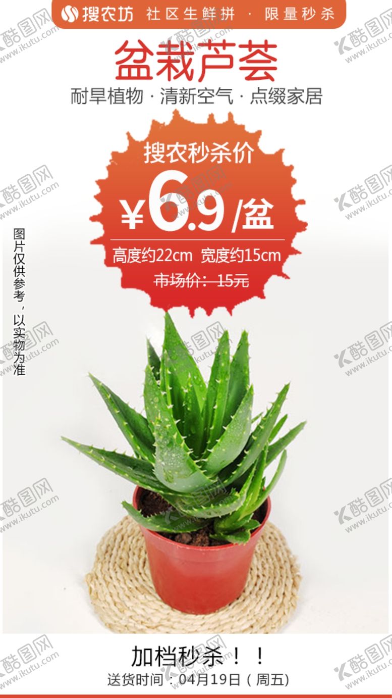 编号：79337005121713592019【酷图网】源文件下载-盆栽芦荟秒杀