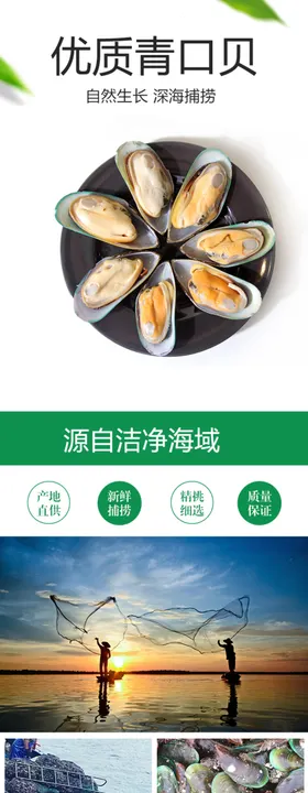 青口贝详情装修页面