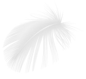 羽毛 素材