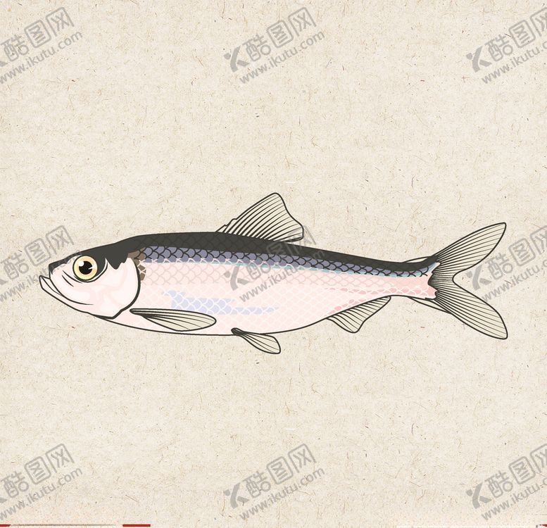 编号：69334611011849302935【酷图网】源文件下载-矢量动物矢量植物插画手绘