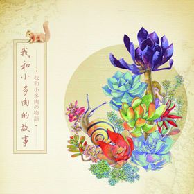 多肉画册