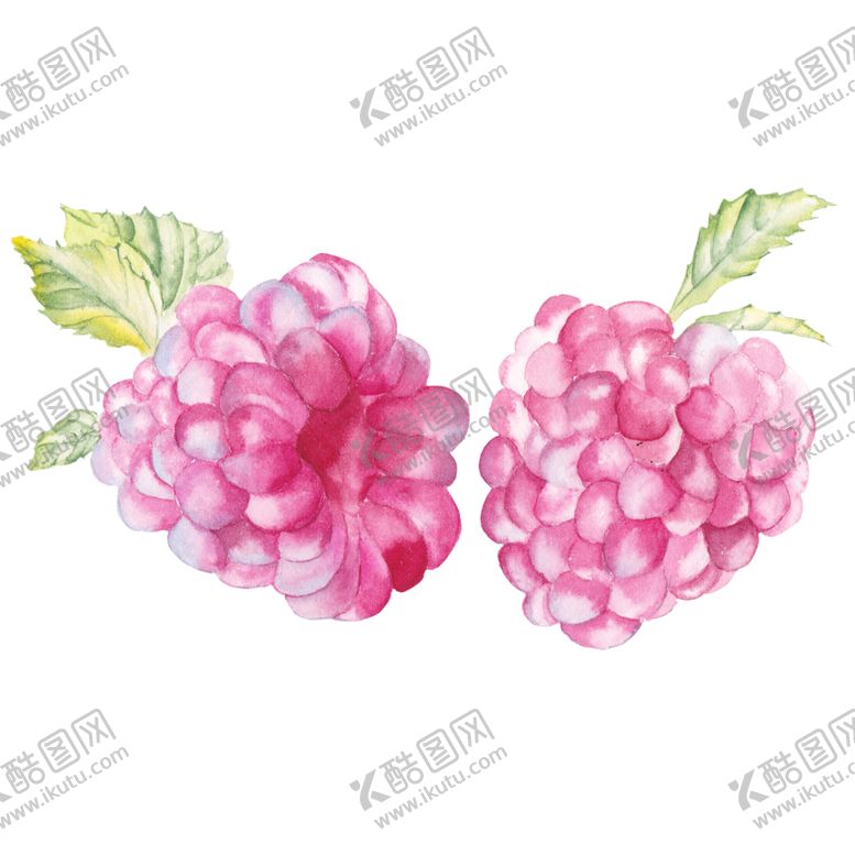 编号：83793209101544297055【酷图网】源文件下载-水果