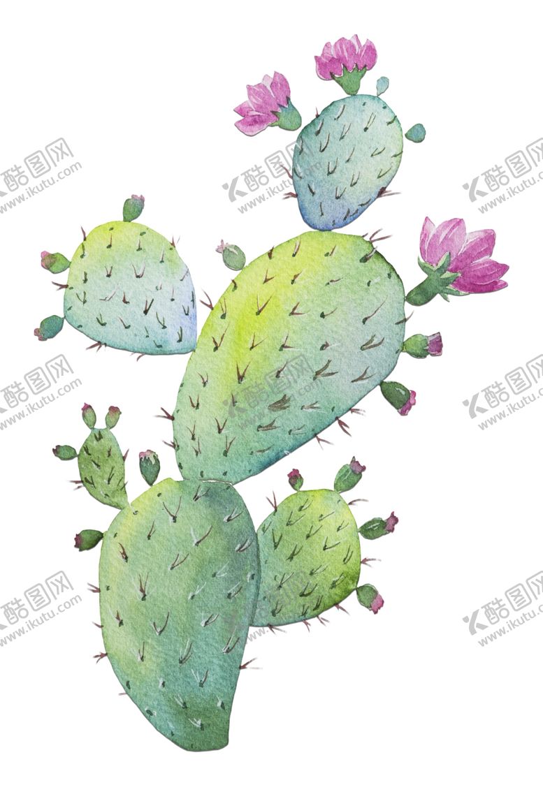 编号：43084202022235094637【酷图网】源文件下载-手绘仙人掌