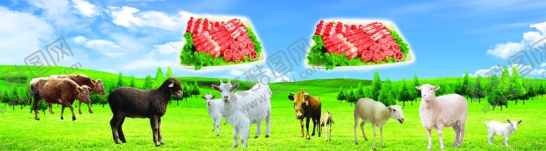 编号：72722209271710568028【酷图网】源文件下载-草原牛羊肉