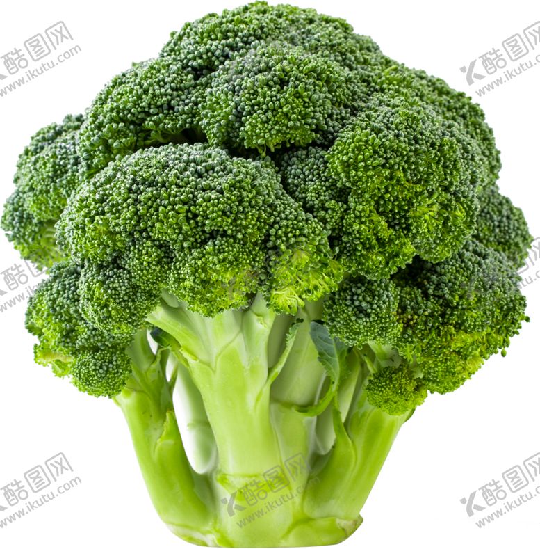 编号：37895007121322043353【酷图网】源文件下载-西兰花