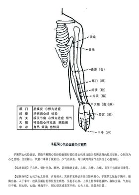 十二经脉