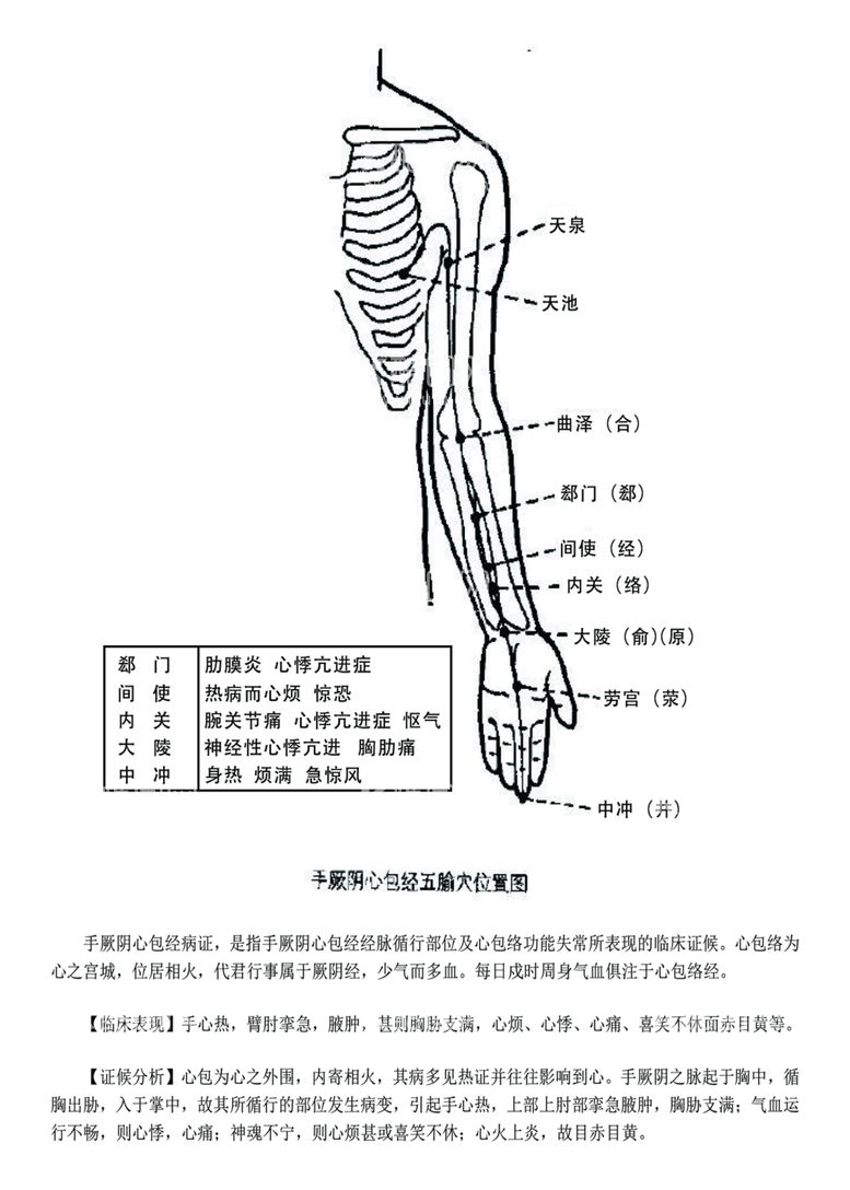 编号：82359712090635428638【酷图网】源文件下载-十二经脉