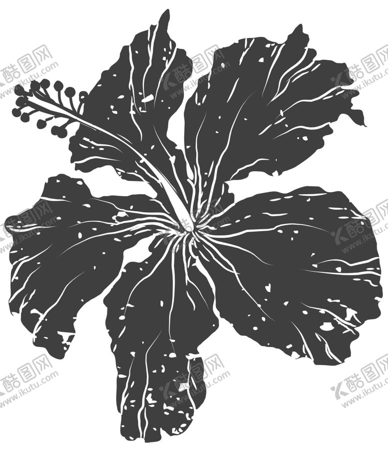 编号：52403510081810481069【酷图网】源文件下载-手绘植物花卉