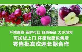 苹果批发名片