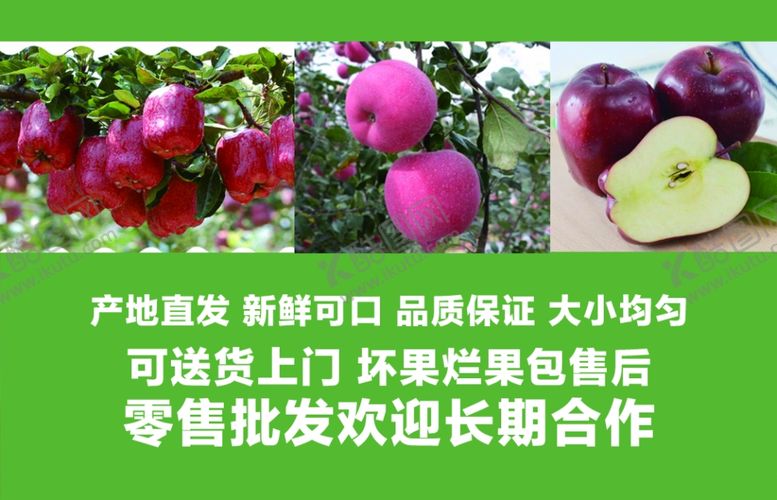 编号：44719609202314558620【酷图网】源文件下载-苹果批发名片