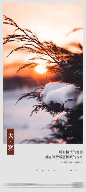 地产中式大寒节气海报