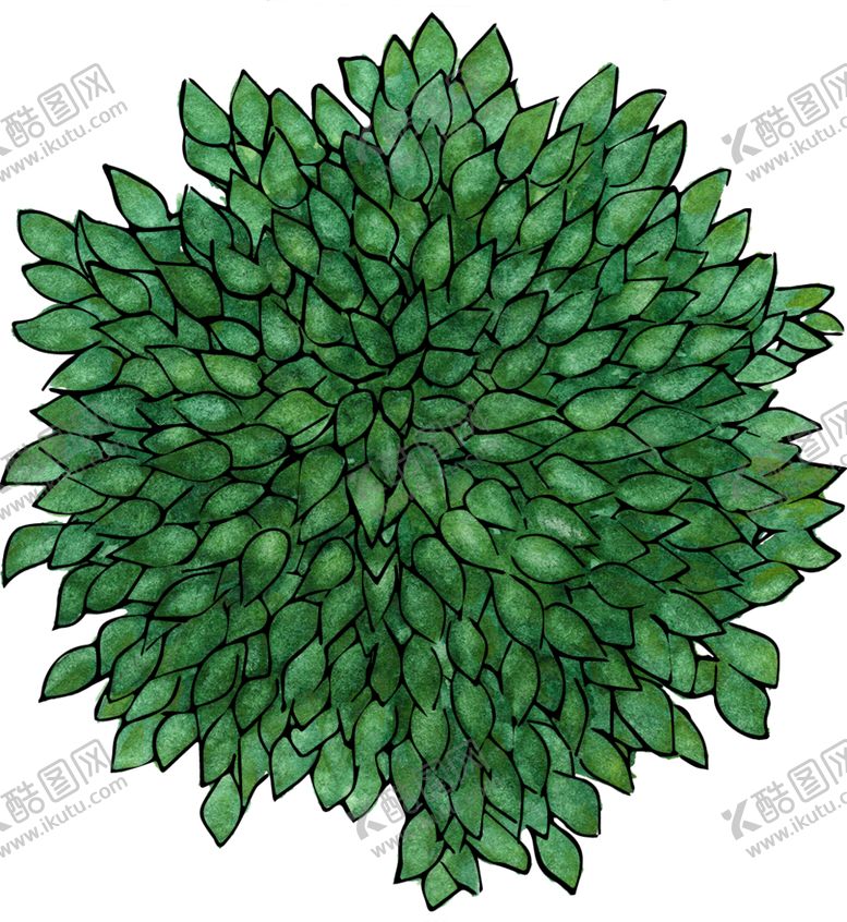 编号：24624009220816508169【酷图网】源文件下载-手绘植物