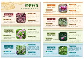 植物科普海报