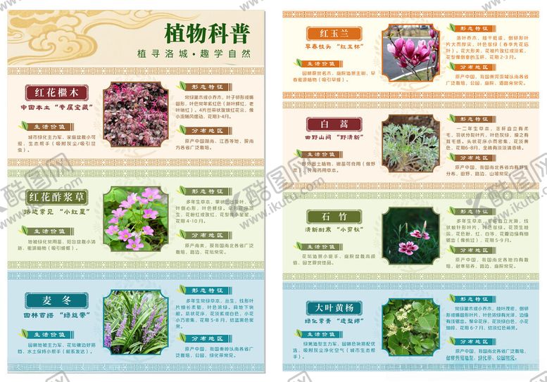 编号：83835605242150031334【酷图网】源文件下载-植物科普海报