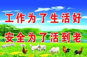 安全生活更美好