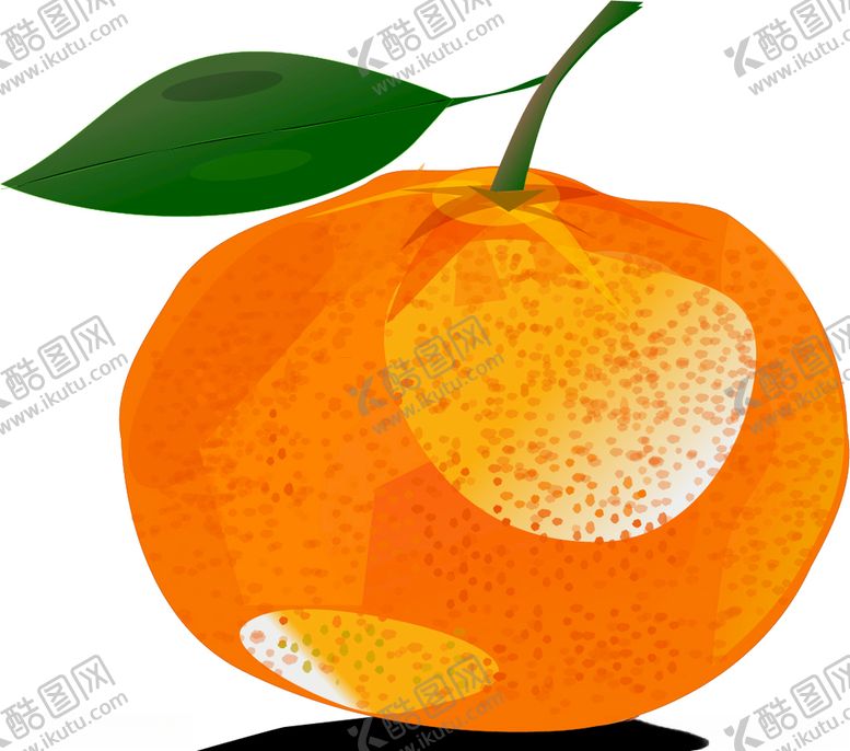 编号：47842609301740016914【酷图网】源文件下载-矢量柑橘插图